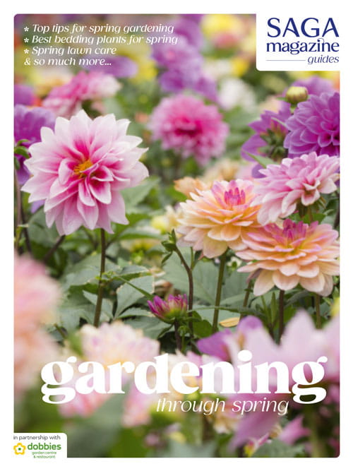 Saga Dobbies Spring Gardening Guide 2026